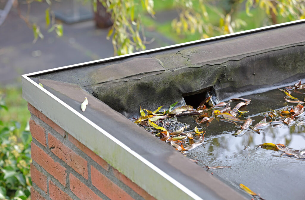 Water drainage on a flat roof