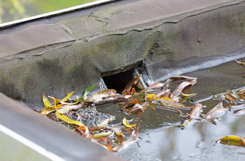 Water drainage on a flat roof