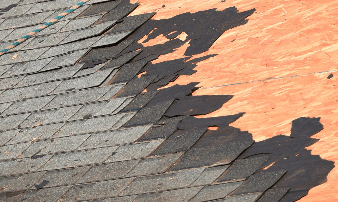 How to Tell If Your Roof Needs Repairs vs. Replacement