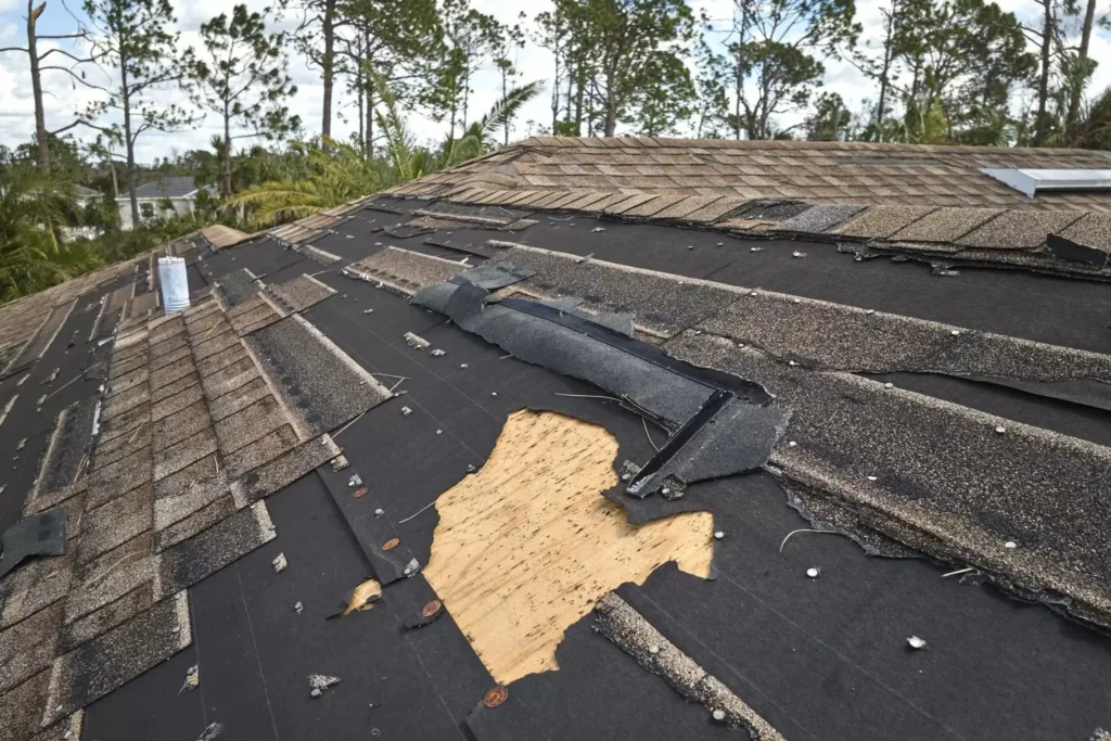 What to Do If Your Roof Is Damaged in a Storm